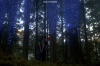 vlcsnap-2015-11-02-17h59m02s316.png