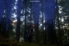 vlcsnap-2015-11-02-17h59m02s739.png