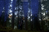 vlcsnap-2015-11-02-17h59m03s155.png
