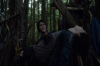 vlcsnap-2015-11-02-17h59m07s041.png