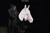 vlcsnap-2015-11-02-17h59m23s179.png