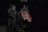 vlcsnap-2015-11-02-17h59m23s704.png