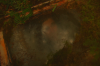 vlcsnap-2015-11-02-17h59m47s153.png