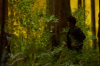 vlcsnap-2015-11-02-17h59m48s068.png