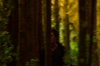 vlcsnap-2015-11-02-17h59m49s529.png