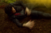 vlcsnap-2015-11-02-17h59m54s406.png