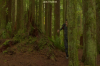 vlcsnap-2015-11-02-17h59m57s746.png