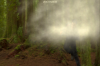 vlcsnap-2015-11-02-17h59m59s782.png