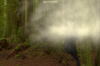 vlcsnap-2015-11-02-18h00m00s331.png