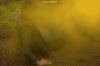 vlcsnap-2015-11-02-18h00m05s411.png
