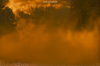 vlcsnap-2015-11-02-18h00m13s229.png