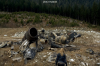 vlcsnap-2015-11-02-18h00m18s742.png