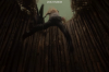 vlcsnap-2015-11-02-18h00m27s591.png