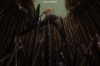 vlcsnap-2015-11-02-18h00m28s019.png