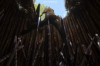 vlcsnap-2015-11-02-18h00m28s454.png