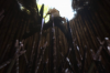 vlcsnap-2015-11-02-18h00m28s868.png