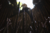 vlcsnap-2015-11-02-18h00m29s235.png