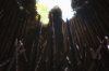 vlcsnap-2015-11-02-18h00m29s657.png