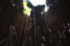 vlcsnap-2015-11-02-18h00m30s125.png