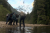 vlcsnap-2015-11-02-18h00m32s245.png