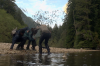 vlcsnap-2015-11-02-18h00m36s512.png