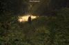 vlcsnap-2015-11-02-18h00m37s419.png