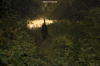 vlcsnap-2015-11-02-18h00m37s900.png