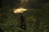 vlcsnap-2015-11-02-18h00m38s400.png