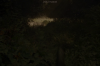 vlcsnap-2015-11-02-18h00m38s836.png