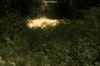 vlcsnap-2015-11-02-18h00m39s805.png