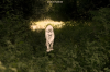 vlcsnap-2015-11-02-18h00m40s243.png