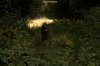 vlcsnap-2015-11-02-18h00m42s554.png