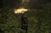 vlcsnap-2015-11-02-18h00m43s981.png