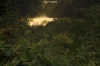 vlcsnap-2015-11-02-18h00m44s467.png