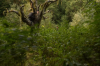 vlcsnap-2015-11-02-18h00m50s359.png