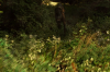 vlcsnap-2015-11-02-18h00m51s279.png