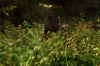 vlcsnap-2015-11-02-18h00m51s696.png