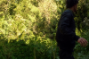 vlcsnap-2015-11-02-18h00m54s434.png