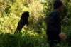 vlcsnap-2015-11-02-18h00m54s825.png