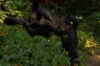 vlcsnap-2015-11-02-18h00m55s279.png