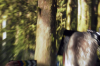 vlcsnap-2015-11-02-23h06m41s709.png