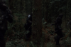 vlcsnap-2015-11-02-23h06m47s550.png