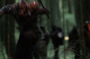 vlcsnap-2015-11-02-23h06m48s434.png