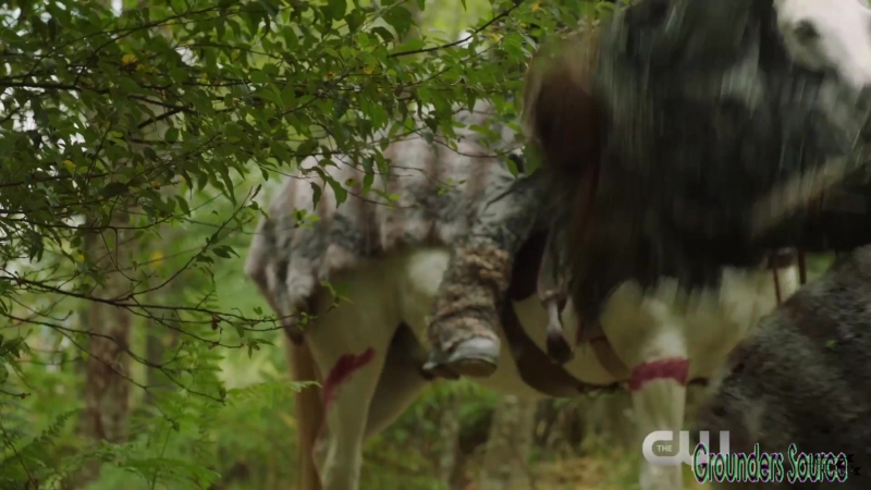 The 100 Hunted Extended Trailer-327
