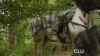 The_100__Hunted_Extended_Trailer__The_CW_5BFull_HD5D_1110.jpg