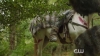 The_100__Hunted_Extended_Trailer__The_CW_5BFull_HD5D_1111.jpg