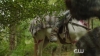 The_100__Hunted_Extended_Trailer__The_CW_5BFull_HD5D_1112.jpg