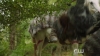 The_100__Hunted_Extended_Trailer__The_CW_5BFull_HD5D_1115.jpg