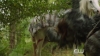 The_100__Hunted_Extended_Trailer__The_CW_5BFull_HD5D_1116.jpg