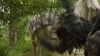 The_100__Hunted_Extended_Trailer__The_CW_5BFull_HD5D_1117.jpg